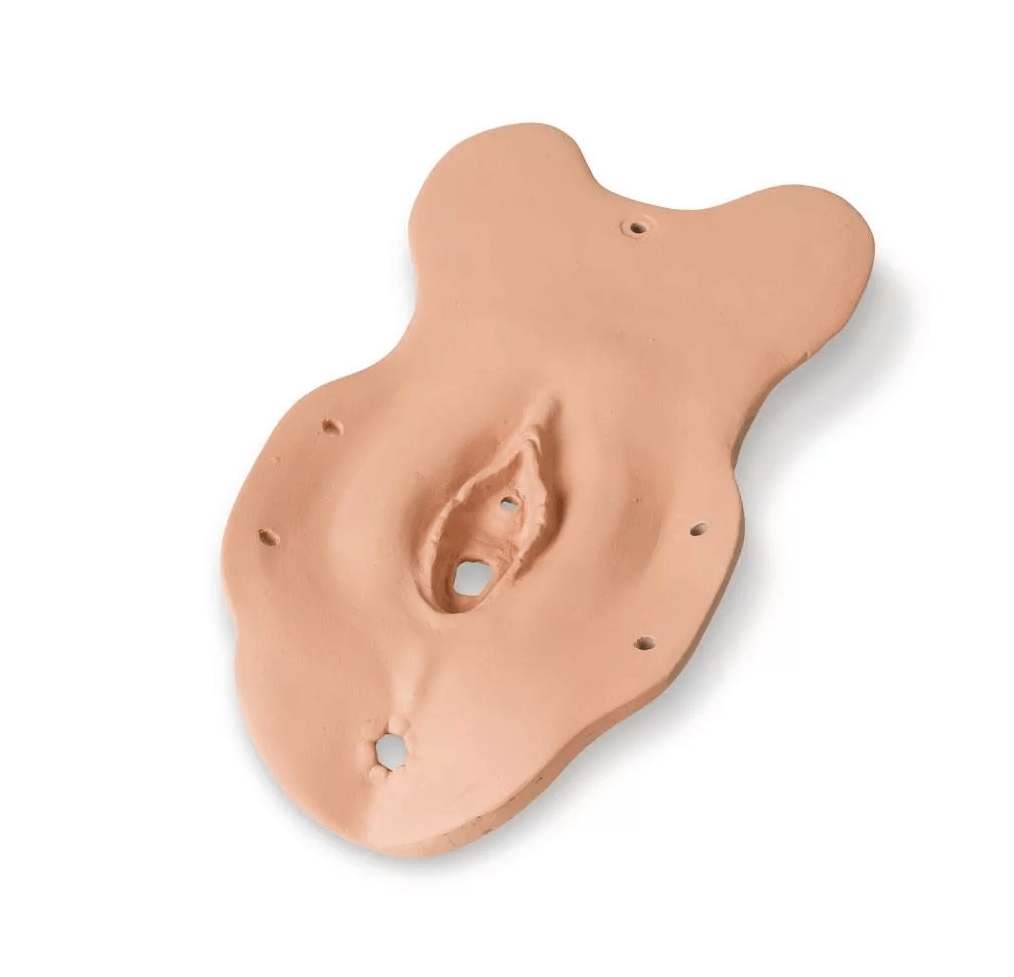 Untersuchungsmodul Präpubertär - Erler - Zimmer